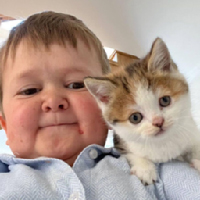 Hasbulla’s CatBARSIK图标