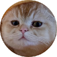 TaoCat (TAOCAT) Логотип