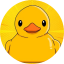 ducky