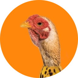 CHICKEN BANANA