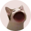 Popcat