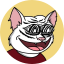 Maci The Cat