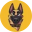 CZ'S DOG