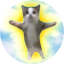 HappyCat
