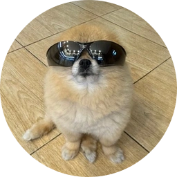 Kori The Pom