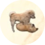 CHARLES