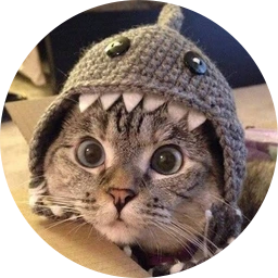 Shark Cat