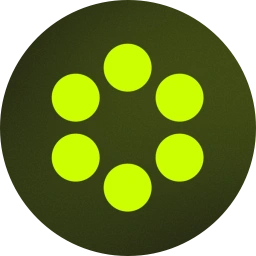 SPIN