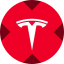Tesla xStock