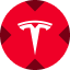 Tesla xStock 标志