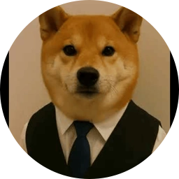 Dog In Vest