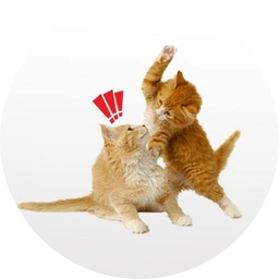 bapcat