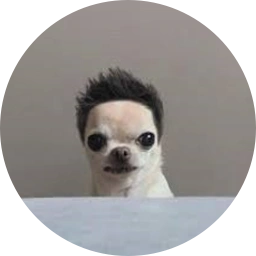 dogwifhair