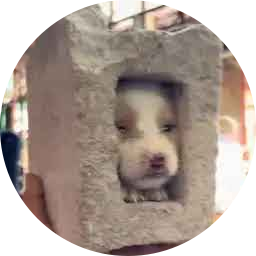 doginblock