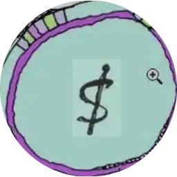 scamcoin