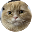 OSCAR