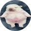 pibble