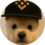 PUP