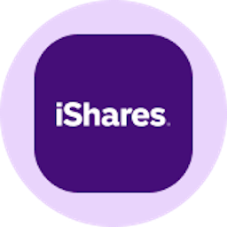 Logo iShares Core MSCI EAFE ETF Ondo Tokenized (IEFAON)