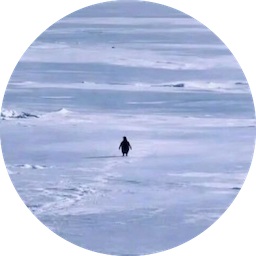 Logótipo Nietzschean Penguin (PENGUIN)