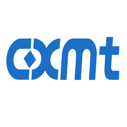 ChangXin Memory Technologies (688825.SH)