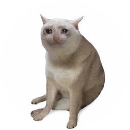 CASHCAT