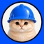 BASECAT