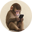 FONE