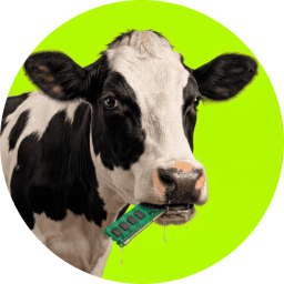 MOO