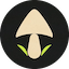 SHROOM