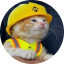 SUE