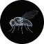 flybrain (FLYBRAIN)