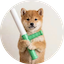 BATON