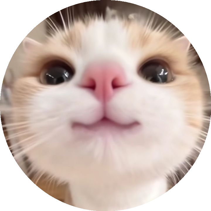 kitty