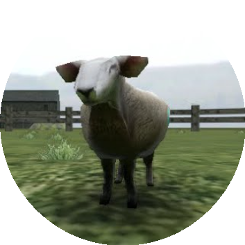 Crazy Cattle 3D