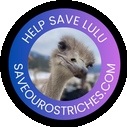 Lulu The Ostrich