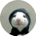 hood rat