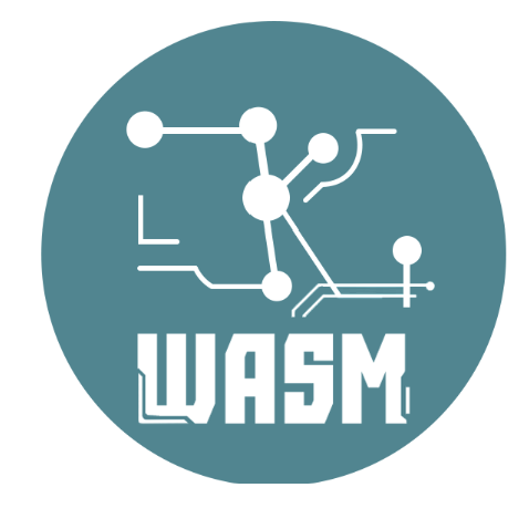 ZKWASM Token