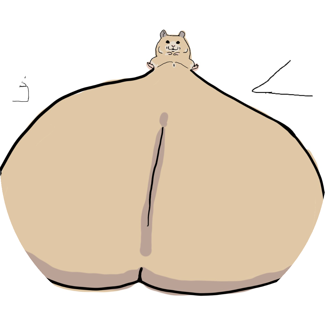 Hamster With Biggest Balls