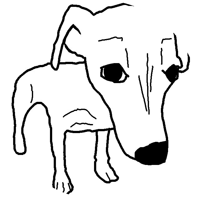 retarded dog coin