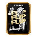 UNOFFICIAL TRUMP